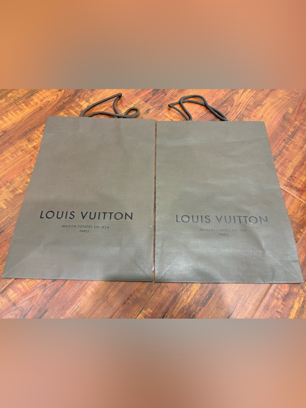 Louis Vuitton Shopping Bags Bundle